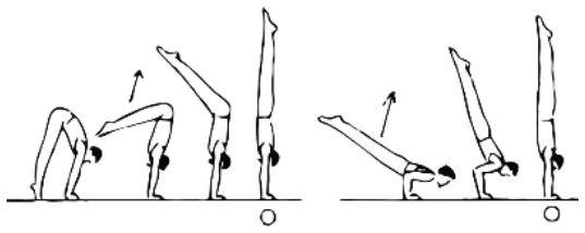 Skill 8