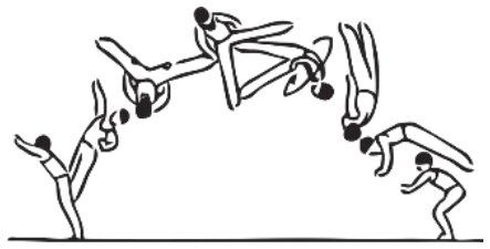 Skill 29