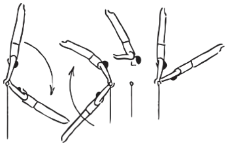 Skill 20