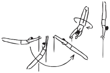 Skill 7