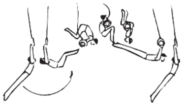 Skill 21