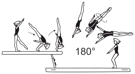 Skill 6.101