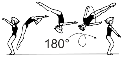 Skill 5.204